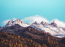 hth-【夜读】放飞了，内马尔邀500人开派对